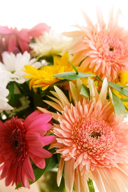A vibrant arrangement of fresh flowers featuring large peach and pink gerbera daisies, bright yellow daisies, and soft white blooms, all with lush green leaves and stems. The flowers are loosely arran