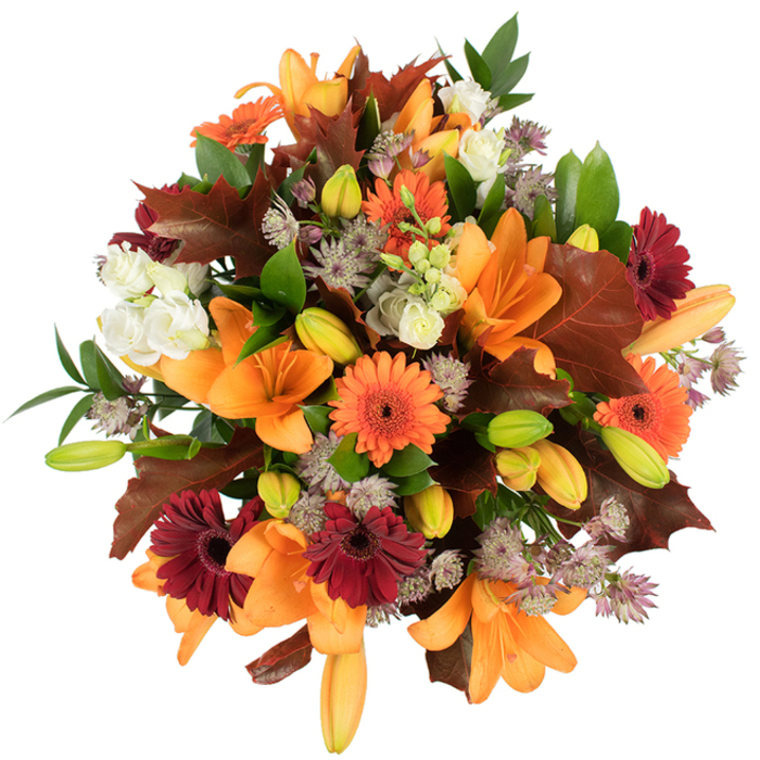 A lush, professionally hand-tied autumn bouquet shown from a slightly elevated viewpoint, arranged to emphasise depth, texture and seasonal colour against a pure white backdrop. Dominating the composition are fully opened orange Asiatic lilies, their large, curved petals forming elegant trumpets; nearby, clustered unopened buds in pale orange and bright lime-green create a steady visual cadence. Scattered throughout are pumpkin-orange Gerbera daisies and profound burgundy-red Gerberas, each with a dark central disc that anchors the brighter tones. Creamy white lisianthus (Eustoma) contribute soft, ruffled pockets of light, while delicate Astrantia heads in soft lavender and muted purple add a starry, skeletal delicacy that lifts the heavier blooms. The bouquet's structure is reinforced by glossy green foliage and narrow stems, contrasted by broad, lobed leaves in deep reddish-brown that mimic fallen oak or maple and articulate the autumnal theme. The arrangement is tightly compacted, forming a full, rounded profile that reads as abundant and freshly gathered; the studio lighting is bright and even, enhancing surface sheen and the tactile quality of petals and leaves.
This piece would suit seasonal displays, a Thanksgiving centrepiece, or an autumnal gift for someone near Bluewater or the River Darent. It conveys warmth, harvest comfort, and considered craftsmanship-the kind of arrangement a local florist would prepare with an eye toward both botanical harmony and the seasonal streetscapes of Dartford.